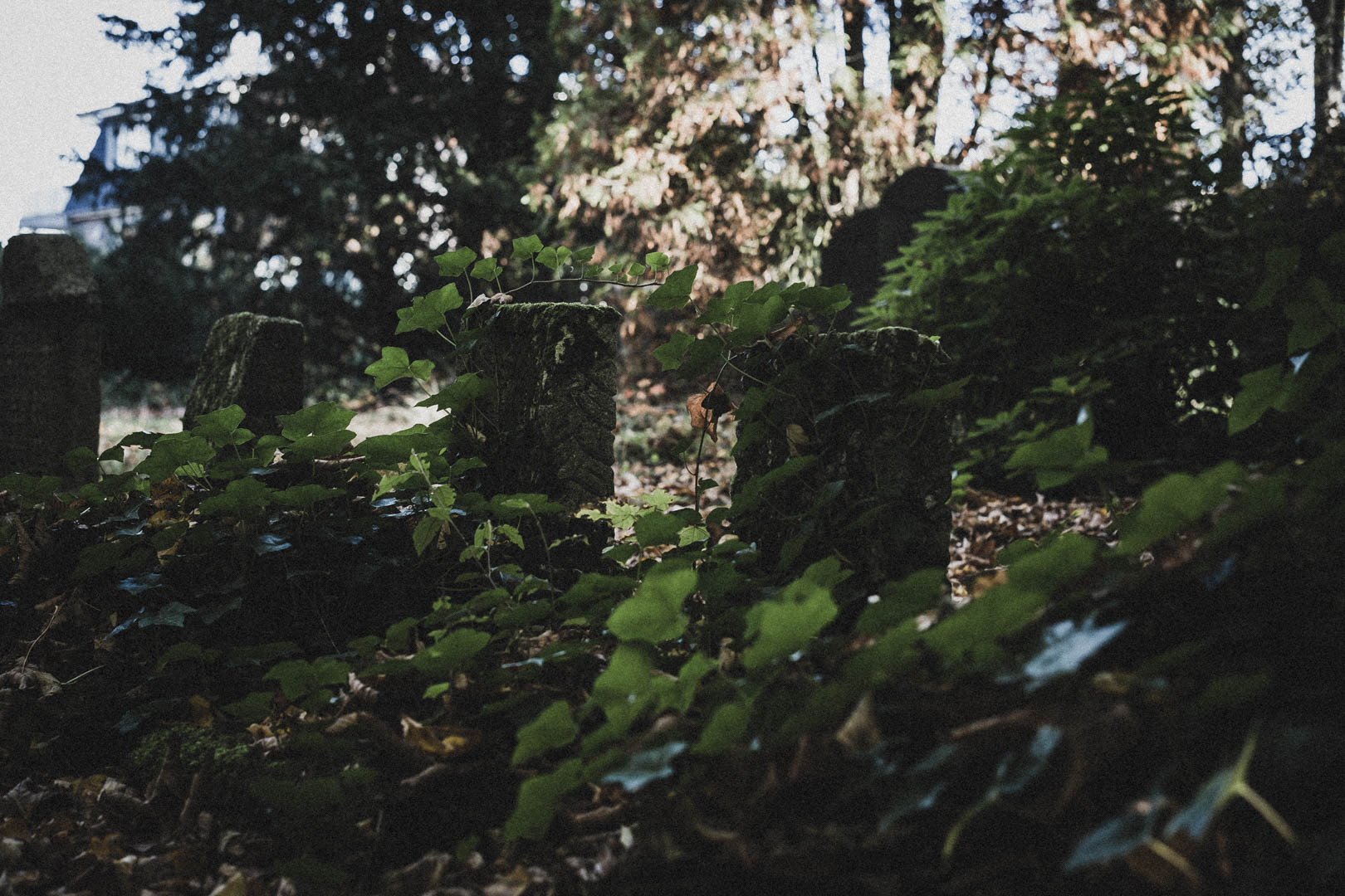 Schortens-Heidmühle, Jüdischer Friedhof
